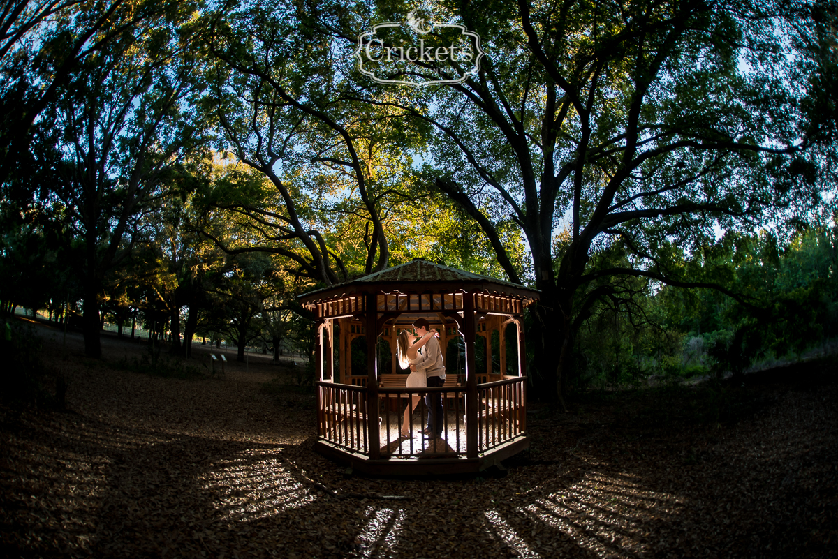 winter garden engagement photography