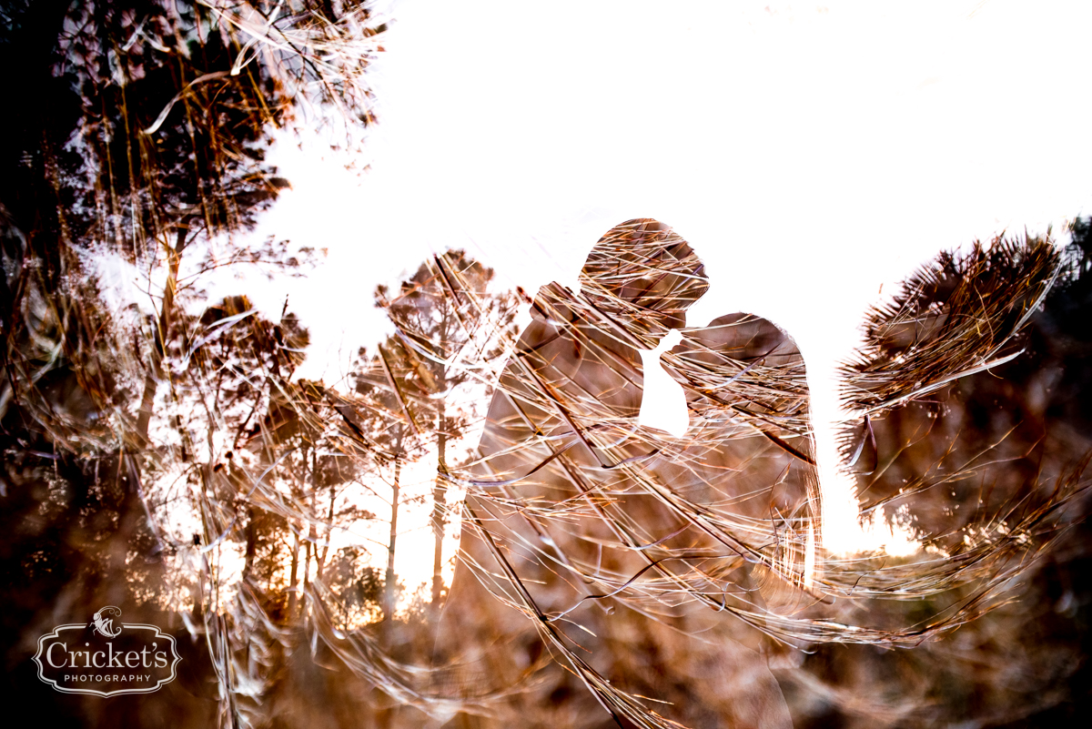 winter garden engagement photography