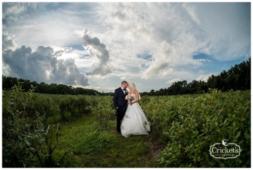 ever after farms wedding